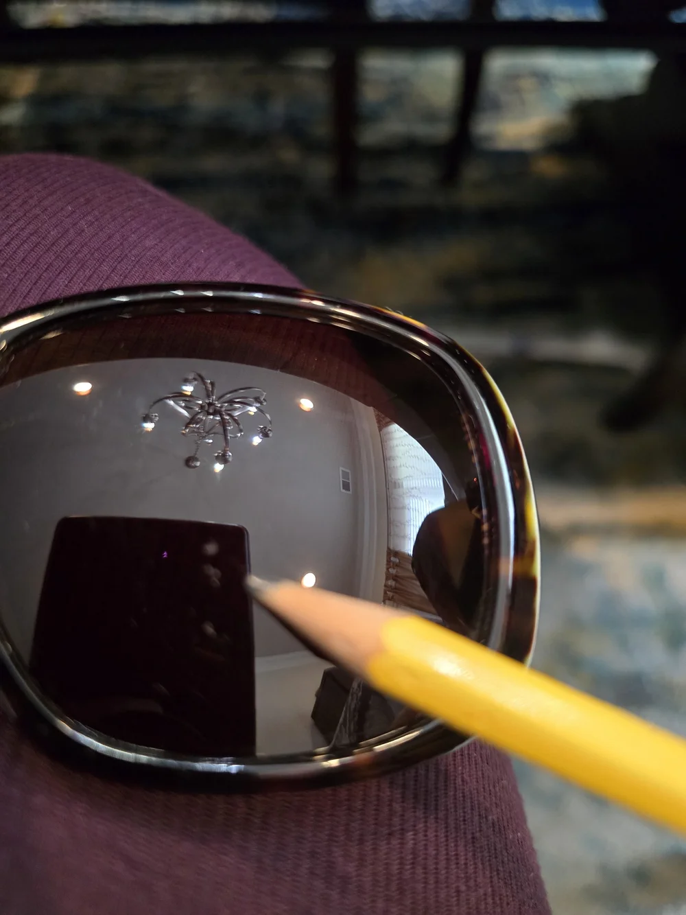 Thakoon Black-Brown Gradient Oversized Women's Sunglasses
